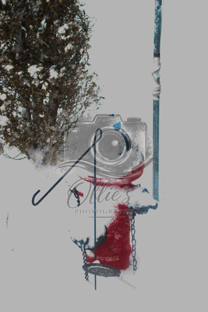 FIREHYDRANT