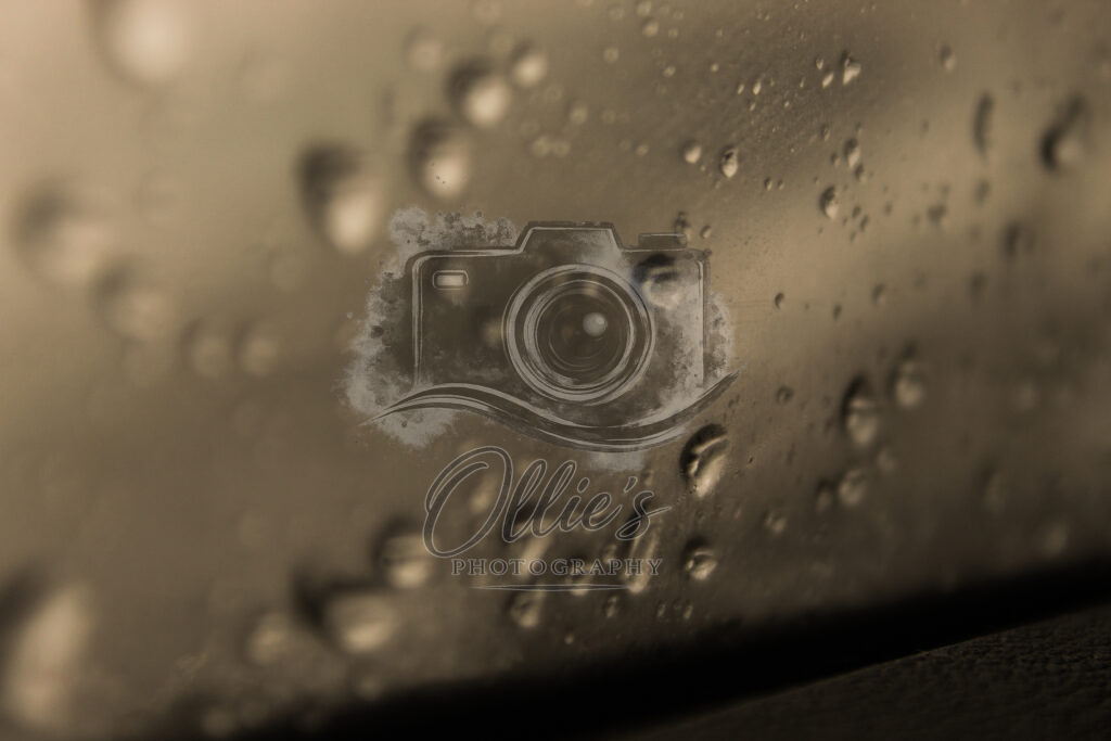 WATERDROPLETS