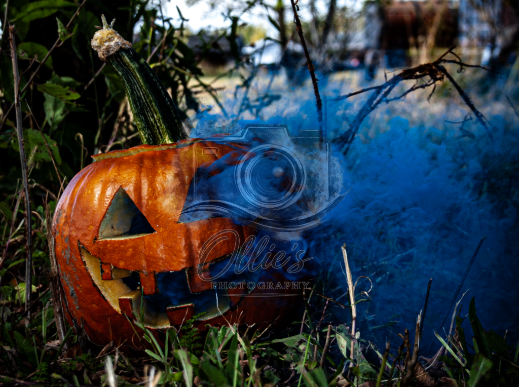 pumpkin7